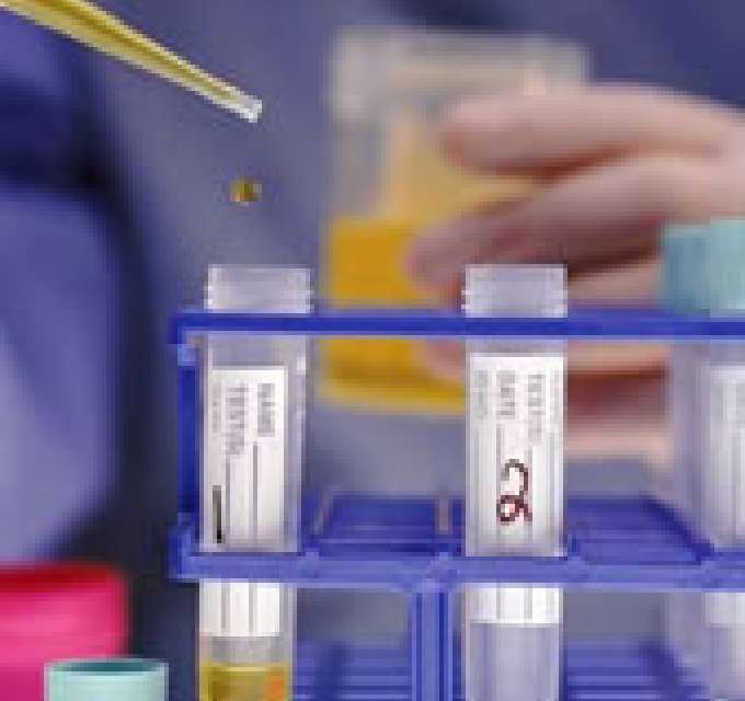 分析・検査項目